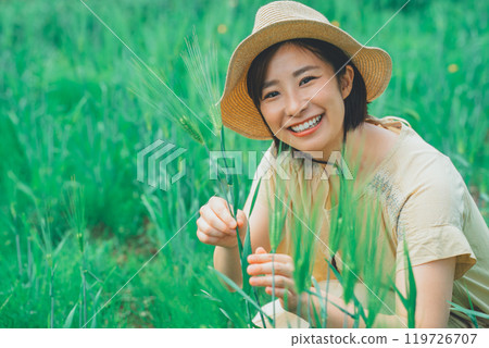 Picking wheat 119726707