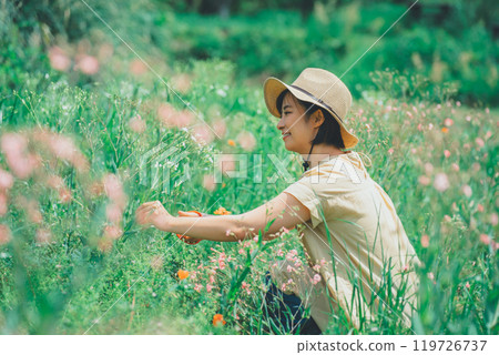 在花卉農場採摘鮮花 在花卉農場採摘鮮花 119726737