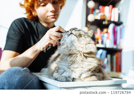 domestic cat grooming 119726784