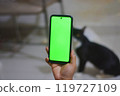 Person Holding Smartphone with Green Screen and Black Cat Nearby 119727109