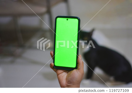 Person Holding Smartphone with Green Screen and Black Cat Nearby 119727109
