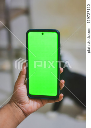 Person Holding Smartphone with Green Screen Display 119727110