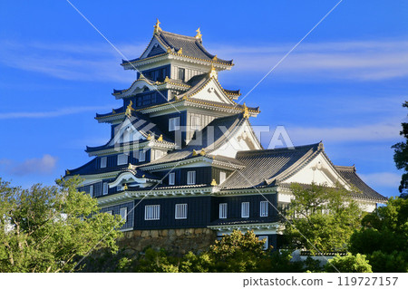 Okayama Castle and castle tower (Okayama City, Okayama Prefecture) 119727157