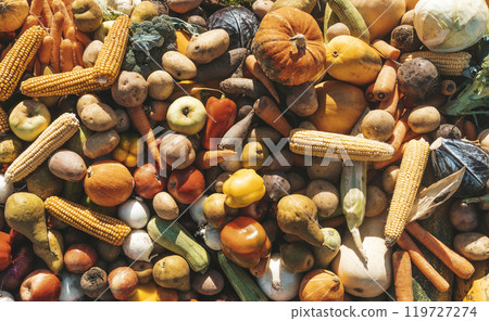 Autumn vegetables. Farm harvest of autumn vegetables and fruits background. 119727274