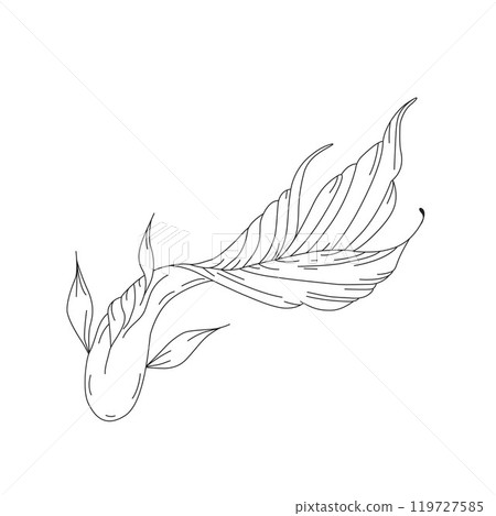 Koi carp fish doodle hand drawn sketch line art 119727585