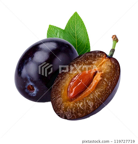 新鮮西梅果 119727719