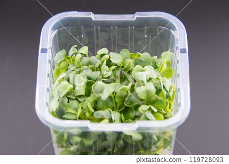 Caution: Daikon radish 119728093