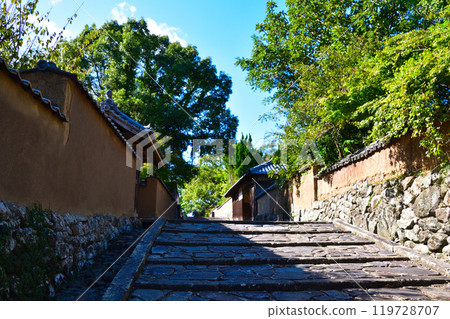 Kitsuki Castle地區的斜坡 Kitsuki Castle地區的斜坡 119728707
