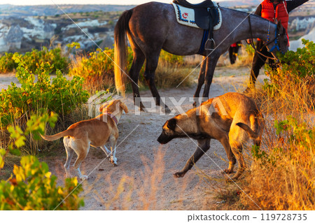 On a dirt path, there is a horse accompanied by two dogs nearby 119728735