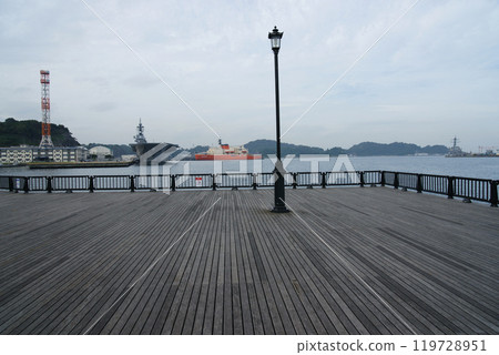 Escort ship Izumo, Antarctic research vessel Shirase, Verny Park 119728951