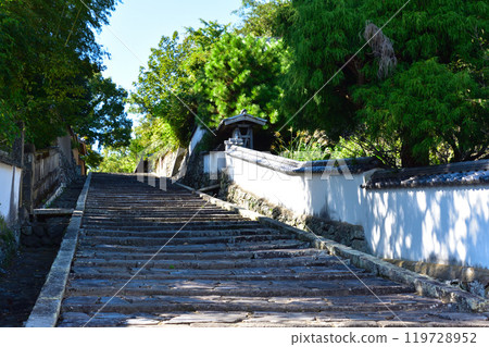 Slope of Kitsuki Castle area 119728952