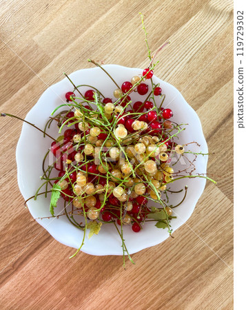 Delightful mix of red and white currants fills a white bowl, capturing the essence of summer freshness. Rustic wooden background enhances the natural, inviting presentation of the berries Delightful mix of red and white currants fills a white bowl, capturing the essence of summer freshness. Rustic wooden background enhances the natural, inviting presentation of the berries 119729302