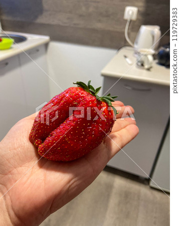 Large vibrant red strawberry rests in the palm of a hand, exemplifying the beauty and bountifulness of fresh produce. Vivid detail in the strawberry texture and color highlights its ripeness and 119729383