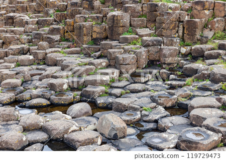 Basalt columns with hexagonal shapes and plants at Giant Causeway natural puddles pattern Basalt columns with hexagonal shapes and plants at Giant Causeway natural puddles pattern 119729473