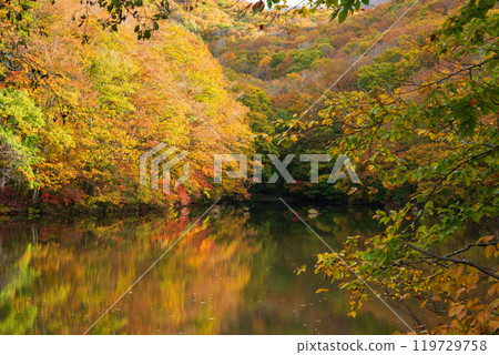 裡磐梯多彩庫澤沼澤 119729758