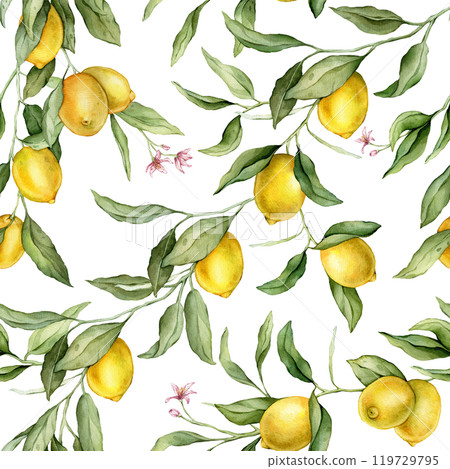 Seamless pattern with watercolor illustration of Lemon or Lime with pink flowers. Hand painted print with lemon branche with green leaves on isolated. Citrus food for wrapping paper or textile design. 119729795