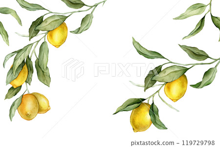 Lemon Fruits rectangular Frame. Hand drawn watercolor illustration of Border with Citrus branches on white isolated background. Drawing with tropical fruit lemon for food label or cards design. Lemon Fruits rectangular Frame. Hand drawn watercolor illustration of Border with Citrus branches on white isolated background. Drawing with tropical fruit lemon for food label or cards design. 119729798