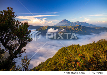 Bromo volcano at sunrise, East Java, Indonesia 119729903