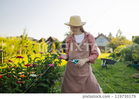 Young Caucasian 30s 40s woman gathering little flower plant in summer garden.. Gardener cutting color zinnia off with pruner for bouquet. Summer gardening work Young Caucasian 30s 40s woman gathering little flower plant in summer garden.. Gardener cutting color zinnia off with pruner for bouquet. Summer gardening work 119730179