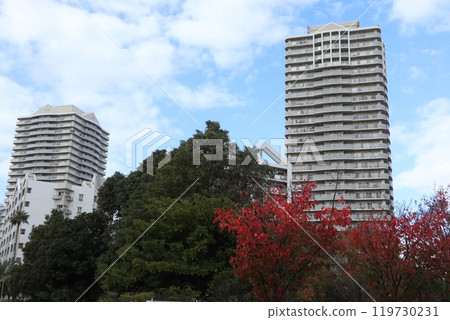 新浦安城市景觀 119730231