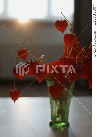 Twigs with orange physalis flowers and autumn colorful leaves in a glass vasein a sunny room. details of home interior 119730304