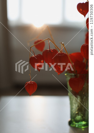 Twigs with orange physalis flowers and autumn colorful leaves in a glass vasein a sunny room. details of home interior 119730306