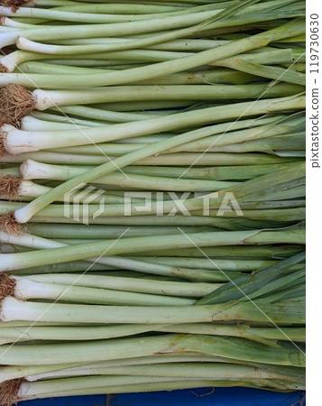 background of fresh organic green leek onion scallion 119730630
