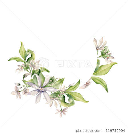Flowers jasmine, buds soft pink colors watercolor wreath isolated. White floral arrangement of jasmine in botanical style hand drawn. Camellia painted for design package, wedding card, label. 119730904