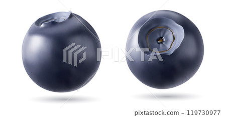 3d realistic blueberry isolated vector fruit set 3d realistic blueberry isolated vector fruit set 119730977