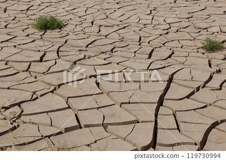 Dry cracked earth, global warming, climate change. Green grass on cracked earth. 119730994