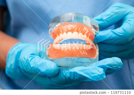 Asian dentist holding dental teeth model for learn about dentistry. 119731110