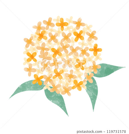 可愛的桂花水彩插圖 119731578