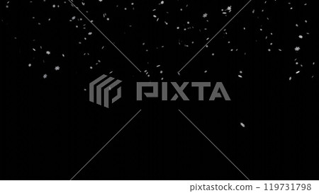 Falling snowflakes on black background. Snowfall on black background. 119731798