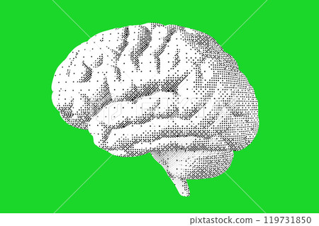 Stylized illustration of brain. Applicable for ai or artificial intelligence, neural science illustration. Stylized illustration of brain. Applicable for ai or artificial intelligence, neural science illustration. 119731850