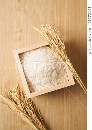Rice served in a masu Rice served in a masu 119731914
