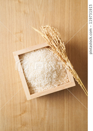 Rice served in a masu Rice served in a masu 119731915