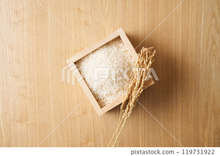 米飯放在一個方形裡 119731922