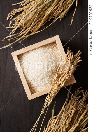 Rice served in a masu 119731925