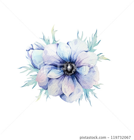 Anemones. Watercolor illustration of airy blue anemones. Botanical illustration. Composition. 119732067