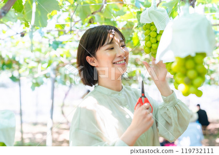 摘葡萄的女人 摘水果的女人 119732111