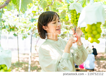 摘葡萄的女人 摘水果的女人 119732112