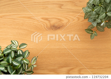 假綠色室內植物木紋背景 119732204