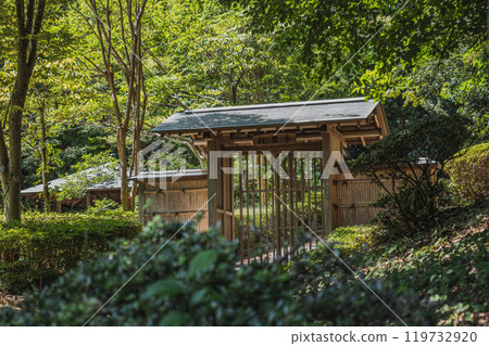 The entrance to Shointei, a Hamamatsu teahouse surrounded by fresh greenery (Shizuoka Prefecture) 119732920