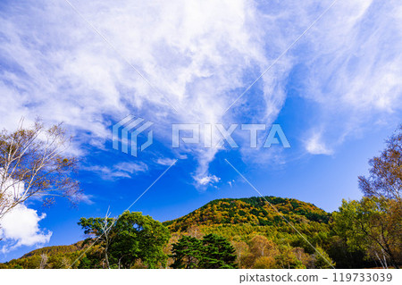 Autumn sky and red leaves on the mountain Autumn sky and red leaves on the mountain 119733039
