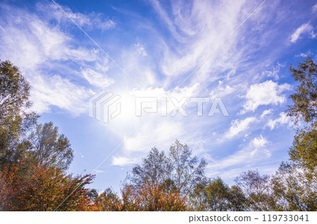秋天的天空和綠葉樹木，美原高原 119733041