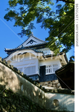 本丸天守/備中松山城（岡山縣高橋市） 119733298