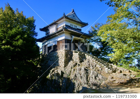 本丸天守/備中松山城（岡山縣高橋市） 119733300