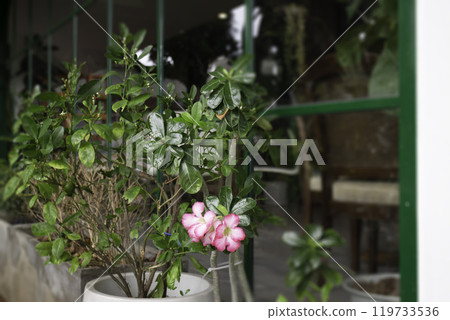 Vintage outdoor coffee table in cafe terrace Vintage outdoor coffee table in cafe terrace 119733536