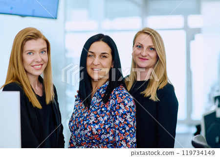 Group of Businesswomen in Modern Office Setting. 119734149