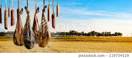 Background dry-cured Iberian ham, loin, Iberian salami, chorizo. Background dry-cured Iberian ham, loin, Iberian salami, chorizo. 119734529